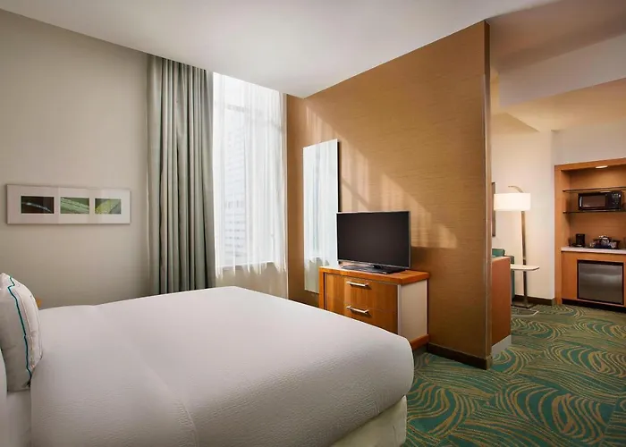 SpringHill Suites Houston Downtown/Convention Center